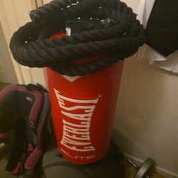 Everlast punching bag with weighted ropes