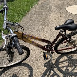 Bike / Bicycle 26” K2 Vista 2.2 women's mountain bike K2 Gold / red 