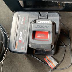 Echo Chainsaw Battery 58 Volts 