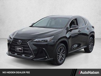 2025 Lexus NX 250