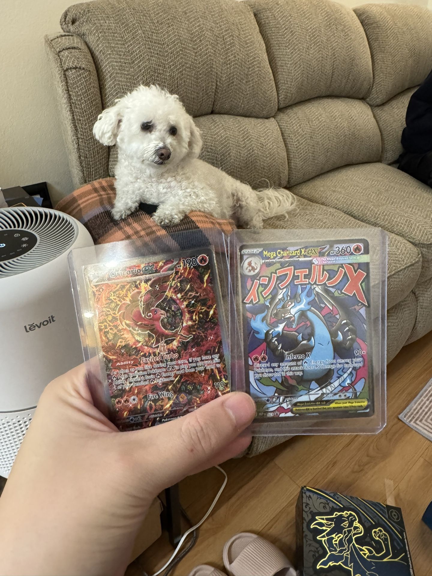 Pokemon Mega Charizard UPC Promos