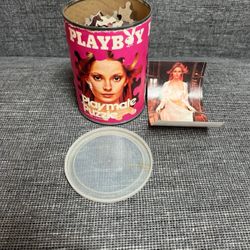 1973 Playboy Playmate Puzzle 