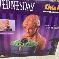 Chia Pet Wednesday 