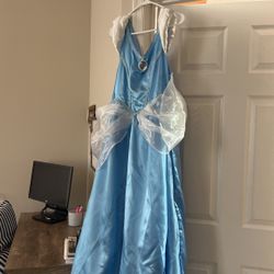 Cinderella costume