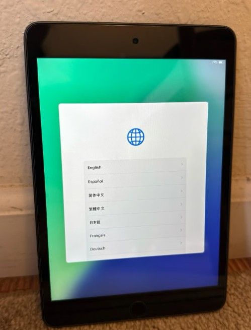 iPad Mini A2133 256GB - 5th Generation