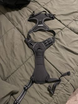 L Dog Harness