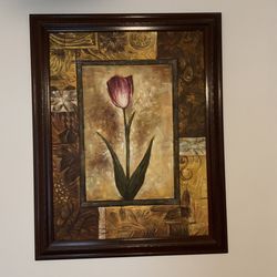Tulip Picture