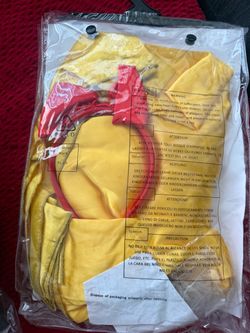 Cinderella adult costume