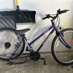 Schwinn Frontier Mountain Bike 