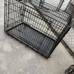 Pet Cage Create