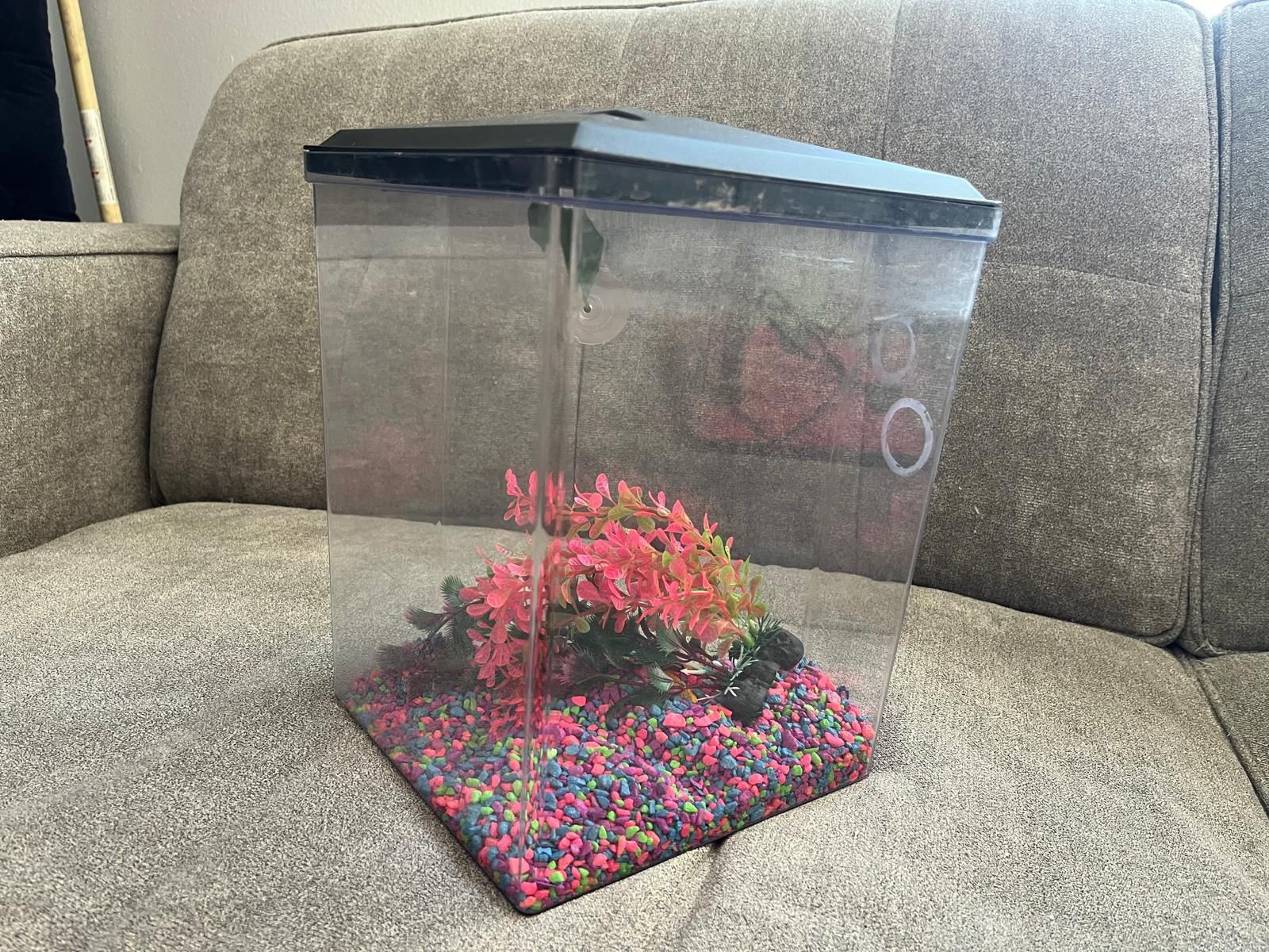 Fish Tank