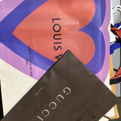 Designer Bags  (Louis Vuitton, Gucci, Prada)