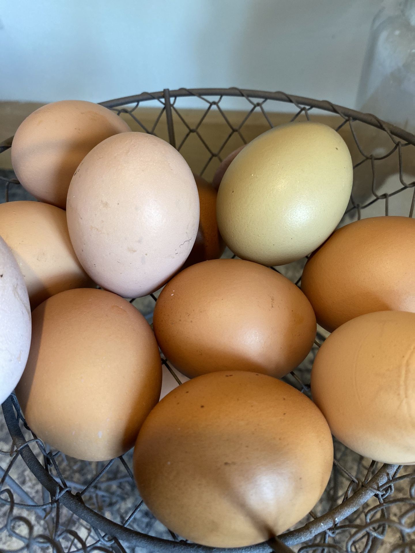 Free Range Farm Fresh Eggs