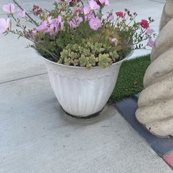 Large Pots3 Ft Tall With 3/4 Kinds Of Plants Each