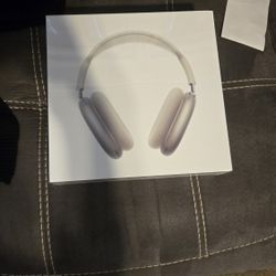 White And Silver Headphones