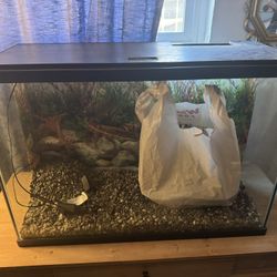 30 Gallon Tank