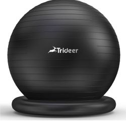 Exercise ball/chair