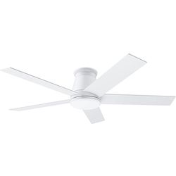 Ceiling fan