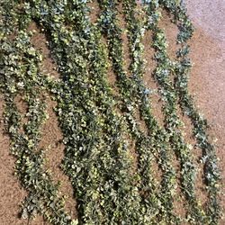 Eucalyptus Garland 