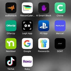 iPhone 12 With TikTok 