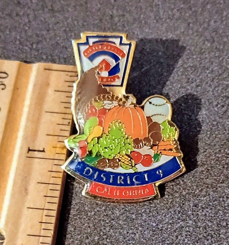 Softball California District 9 Cornucopia Horn Of Plenty Sports Vintage Collectible Lapel Pin A-1