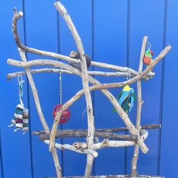 African Grey - Amazon Parrot Perch Tree … All Custom / Breeder Direct ( Low Priced !) 👍🏼