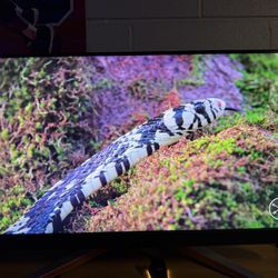 32" 4K IPS 144Hz Gaming Monitor - BenQ MOBIUZ EX3210U