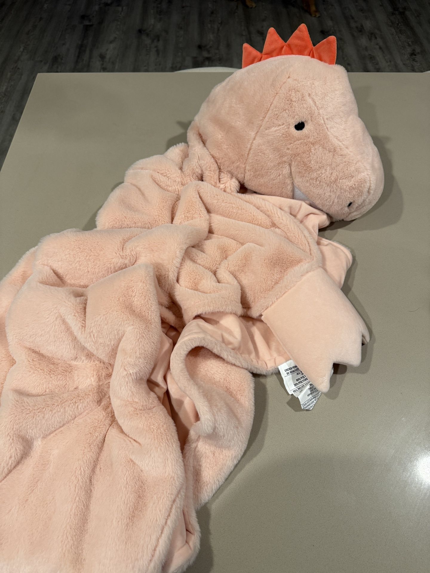 Dinosaur Hooded Blanket