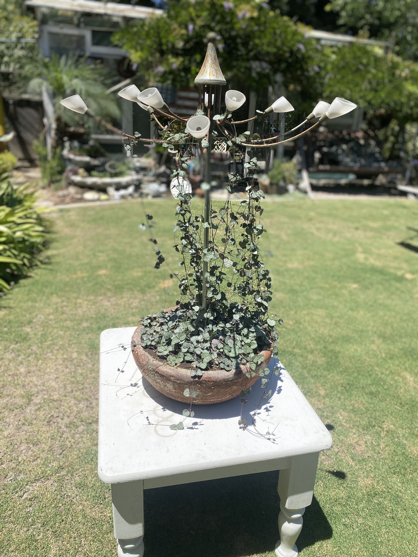 💕String-of-Heart Arrangement 🔱