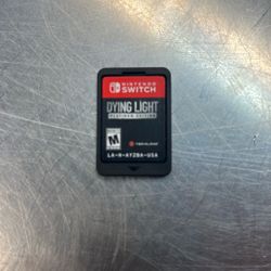 Nintendo switch dying, light platinum edition game