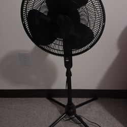 Black Standing Fan
