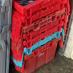 McLane Storage Bins