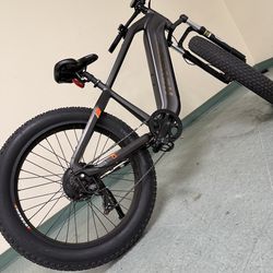 Electric bike