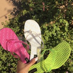 Jelly Mules- Heels 