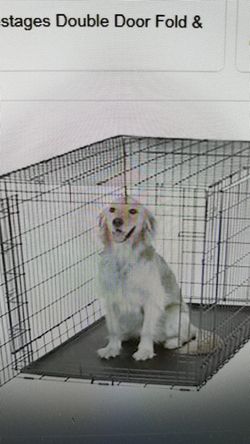 Dog crate 48"x 30