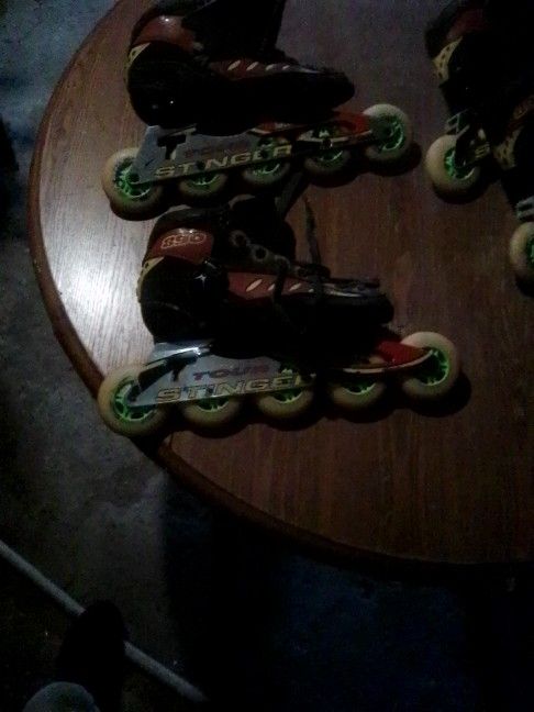 Speed Skates Tour Stinger