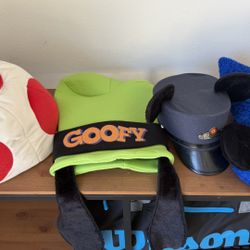 Disneyland And Mario Hat