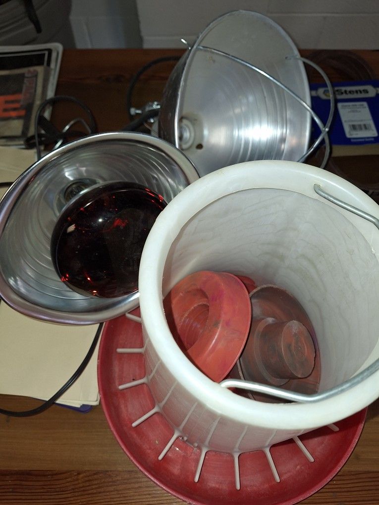 Chicken Feeders And Heat Lamps