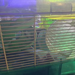 Hamster Cages With Accessories 