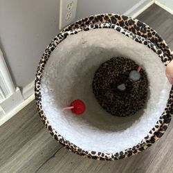 Cat Items 
