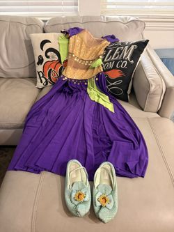 Princess Jasmine Costume with Shoes - Adult Small