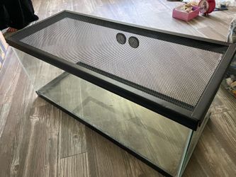 40 gallon tank