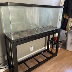 55 Gallon Fish tank and Stand 