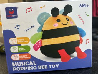Musical Bee Toy