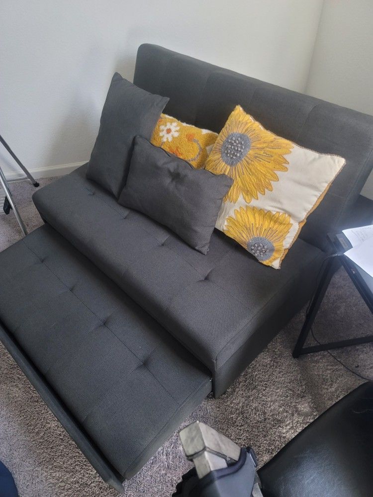 Twin Size Sofa Bed