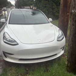2019 Tesla