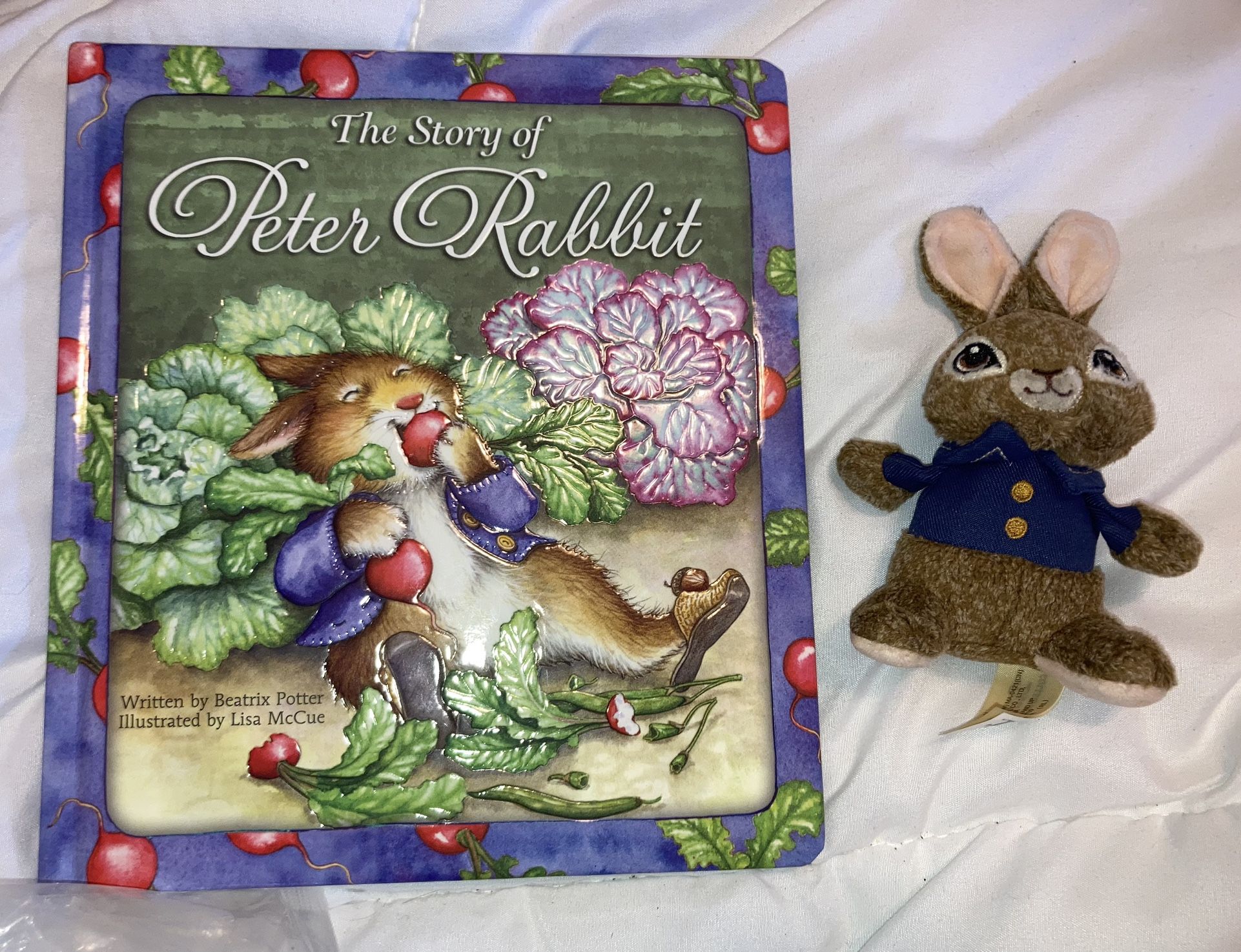 Peter Rabbit Storybook and Plush Peter doll Excellent!