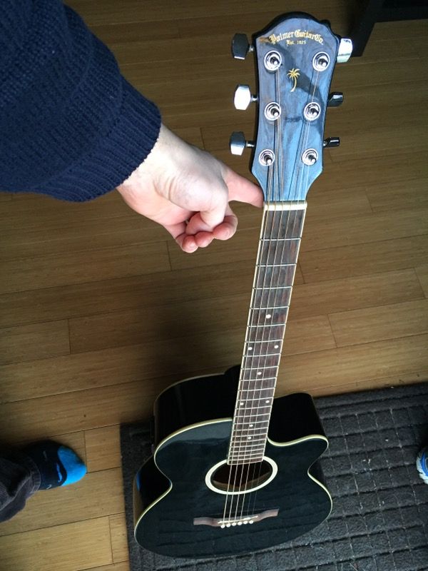 Palmer Acoustic Electric Guitar (price firm) with soft case