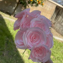Loose Light Pink Roses!! 