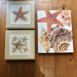 Sea Shell Wall Art